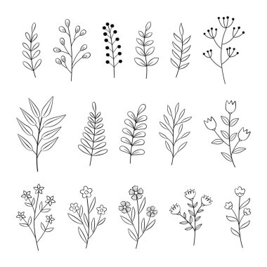 El çizimi boho çiçekleri.