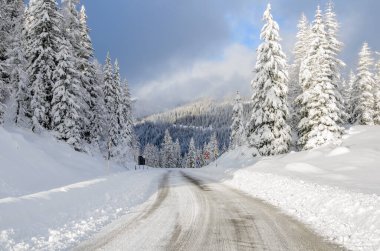 Güneşli bir kış gününde karlı bir ormanda terk edilmiş buzlu bir yol.