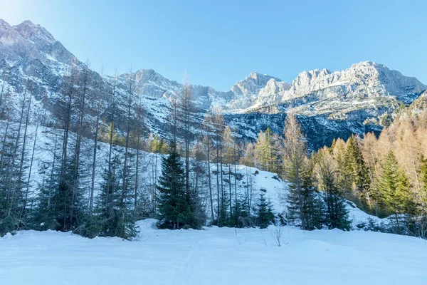 Majestosa Montanha Coberta Neve Dia Ensolarado Inverno — Fotografia de Stock