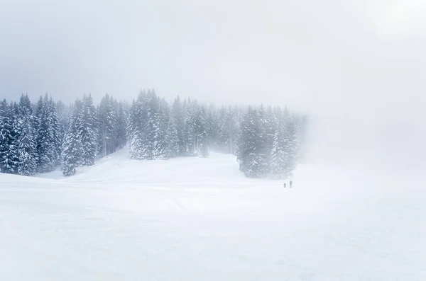 Лижники Лижному Трасі Туманний Зимовий День — стокове фото