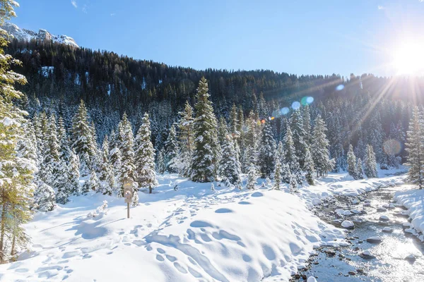 Взимку Струмок Протікає Через Сніжний Гірський Ландшафт Ліхтарик — стокове фото