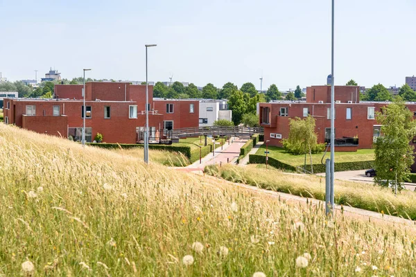 Housing Development Moder Brick Houses Sunny Summer Day Zoetermeer Netherlands — Stockfoto