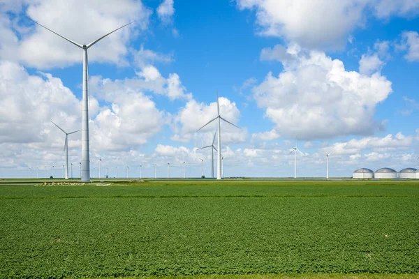 Hohe Windräder Einem Windpark Auf Dem Land Einem Sonnigen Sommertag — Stockfoto