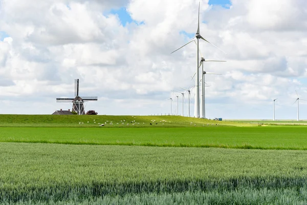 Windräder Zur Stromerzeugung Und Eine Alte Windmühle Auf Dem Land — Stockfoto