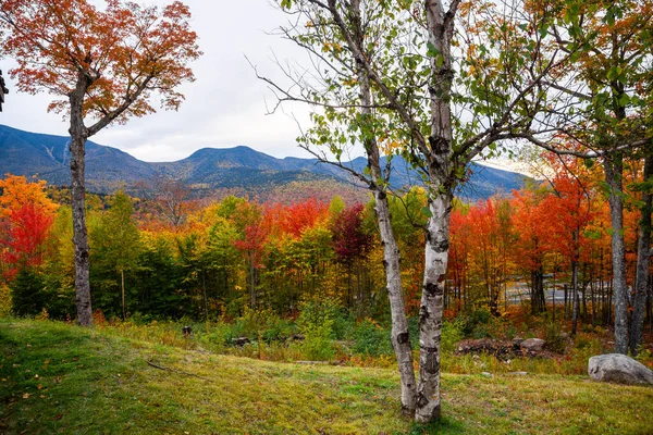 Podzimní Barvy Horách White Mountain National Forest Usa — Stock fotografie