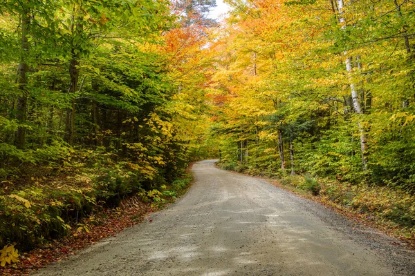 Empty Winding Back Road Deciduous Forest Autumn White Mountain National — Stock Photo, Image