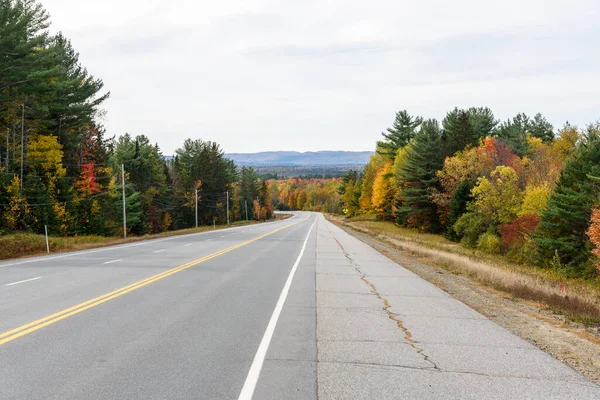 Deserted Highway Forested Mountain Landscape Peak Fall Foliage White Mountain — Stock Photo, Image