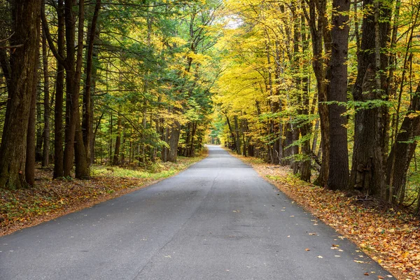 Een Verlaten Landweg Door Een Loofbos Herfst New Hampshire Verenigde — Stockfoto