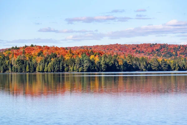 Țărmul Împădurit Unui Lac Vârful Culorilor Toamnei Într Senină Toamnă — Fotografie, imagine de stoc
