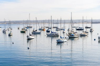 Yelkenliler sisli bir sonbahar sabahında şamandıralara demirlediler. Monterey, CA, ABD.