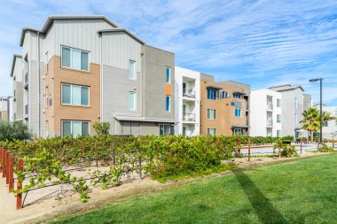 Modern apartman binaları. Ön planda ortak bir bahçe var. Kaliforniya, ABD.