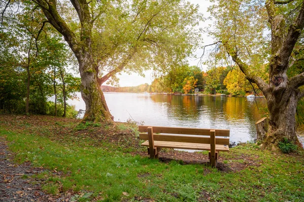 Empty Wooden Bench Facing Lake Wooded Shores Autumn Concept Solitude — Stock Photo, Image