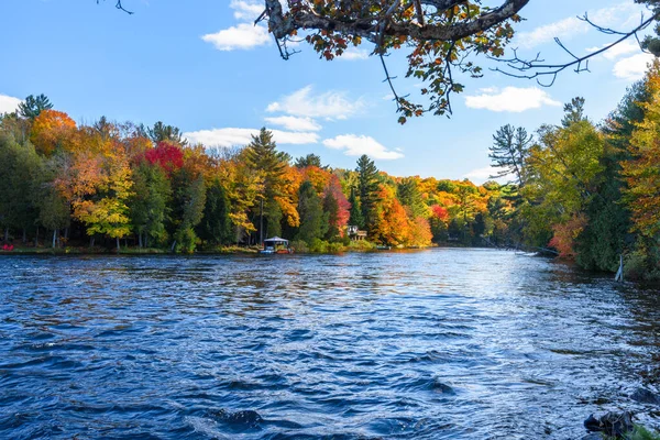 Flod Med Skogsklädda Banker Toppen Hösten Lövverk Klar Dag Baysville — Stockfoto
