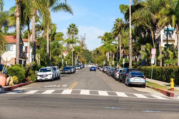 Street Lined Palm Trees Santa Barabara California Clear Autumn Morning — Stock Photo, Image