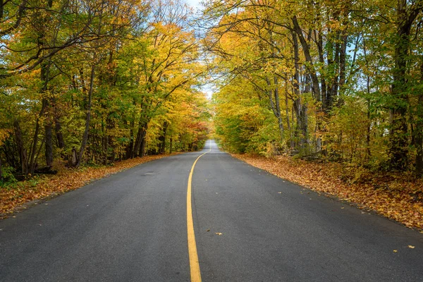 秋の葉の頂上に森の中を走る道の空っぽのストレッチ オンタリオ州 カナダ — ストック写真