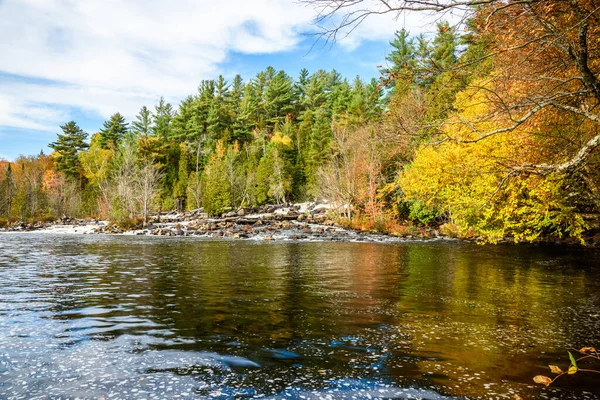 Sonbahar yapraklarının zirvesinde orman kıyıları olan bir nehirde şelale. Ragged Falls Parkı, On, Kanada.