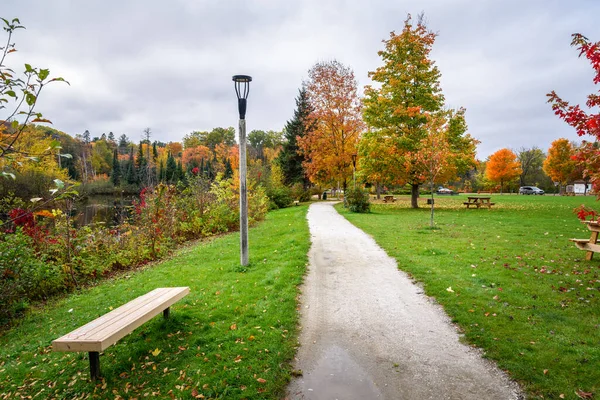 Deserted path lined with lamp post and benches in a riverbank park on an overcast autumn day. Ontario, Canada.