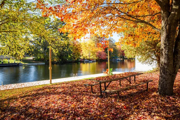 Пикнинский Стол Покрытый Опавшими Листьями Парке Набережной Солнечный Осенний День — стоковое фото