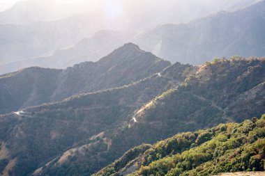 Sonbaharda günbatımında ormanlık bir dağın yamacına çıkan virajlı bir yol. Sierra Naevada, CA, ABD.
