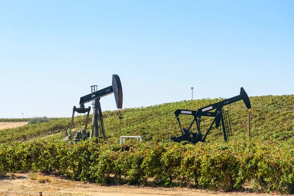 Dynie Wydobywające Ropę Naftową Winnicy Kalifornii Pogodny Jesienny Dzień Bakersfield — Zdjęcie stockowe
