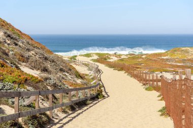 Güneşli bir sonbahar gününde California sahilindeki kum tepelerinden geçen boş çitli bir yol. Marina, CA, ABD