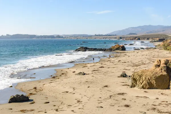 晴れた秋の日にカリフォルニア中部の砂浜で海岸を歩く女性 — ストック写真