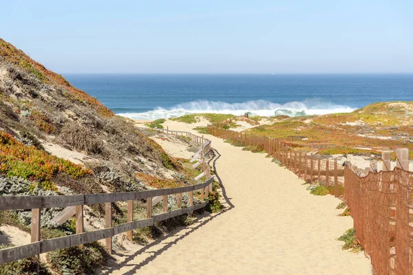Güneşli bir sonbahar gününde California sahilindeki kum tepelerinden geçen boş çitli bir yol. Marina, CA, ABD