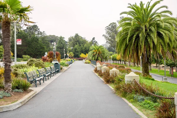 Deseeted paved path lined with empty  wooden benches in a public park on a foggy autumn day. San Francisco, CA, USA.