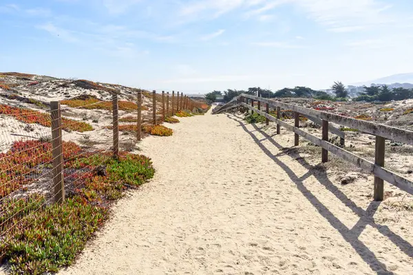 Eingezäunter Weg Durch Sanddünen Der Kalifornischen Küste Einem Sonnigen Herbsttag — Stockfoto