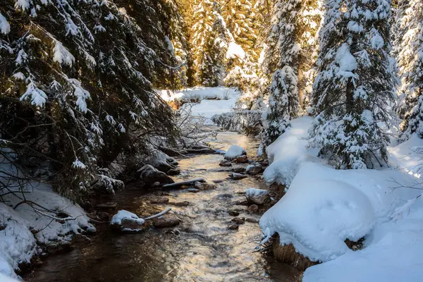 Mountain Stream Snowy Forest Sunset Winter — Stock Photo, Image