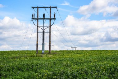 Yazın İngiltere 'nin kırsal kesimindeki ekili bir arazide elektrik hatları var. Güney Yorkshire, İngiltere, İngiltere