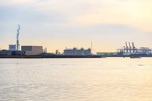 View Major Seaport Fuel Storage Tanks Warehouses Gantry Cranes Industrial — Stock Photo, Image