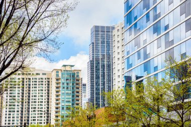 Bulutlu bir bahar gününde Chicago şehir merkezinde ağaçlar boyunca uzanan modern apartman ve ofis binaları. Illinois, ABD.