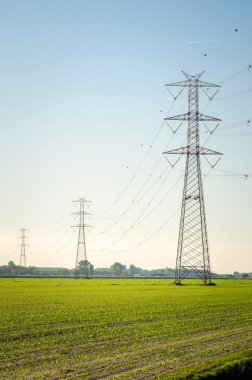 Elektrik direklerinin yüksek voltaj hatlarını desteklemesi baharda gün batımında ekili bir alanda.