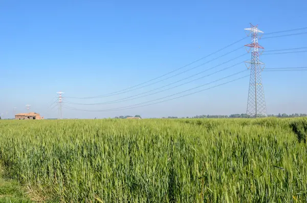 High Voltage Power Liness Cultivated Fields Tall Steel Pylons Clear — Stock Photo, Image