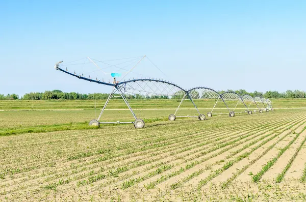Pivot Irrigation System Corn Field Clear Spring Day — Stock Photo, Image