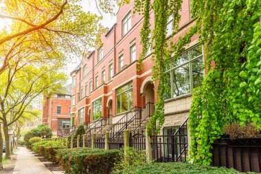 Güneşli bir bahar gününde ağaçlarla kaplı kaldırım kenarındaki modern tuğla kasaba evleri. Chicago, IL, ABD.