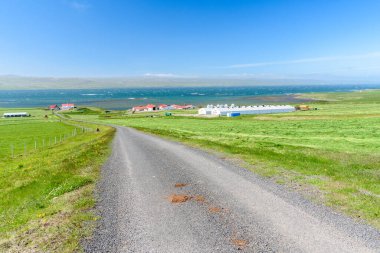 Çimenli tarlalarla ve İzlanda 'nın kuzey kıyısında güneşli bir yaz gününde inşa edilen çiftliklerle dolu çakıllı arka yol.