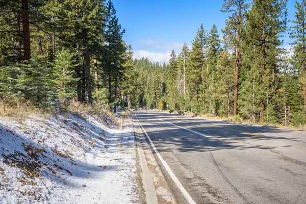 Soğuk bir sonbahar sabahında, açık gökyüzünün altında çam ormanlarının arasından ıssız bir dağ yolu. Tahoe Gölü, CA, ABD.