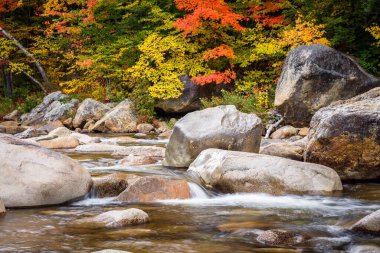 Arka planda sonbahar renklerinin zirvesinde renkli ağaçlarla dolu küçük bir şelale. Swift Nehri, Beyaz Dağlar, NH, ABD.