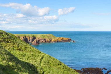 İskoçya 'nın Aberdeenshire kıyısında güneşli bir yaz günü. Çimenli bir yamaç ön plandadır. Stonehaven, İskoçya, İngiltere.