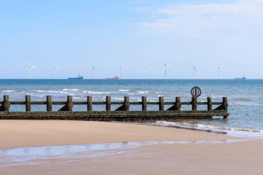 Açık bir yaz gününde İskoçya açıklarında rüzgar tarlası. Ön planda, dalgaların çekildiği sahilde bir Groyne var. Aberdeen, İskoçya, İngiltere.