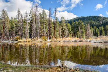 Aydınlık bir sonbahar gününde, dağlarda sonsuz yeşil ormanlarla çevrili bir gölet. Karların hafif tozu yerde. Suda yansıma. Tahoe Gölü, CA, ABD.