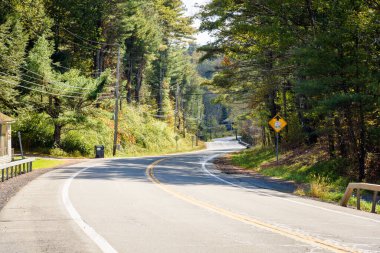 Güneşli bir sonbahar gününde ormanın içinden geçen boş, dolambaçlı bir dağ yolu. Catskill Dağları, New York, ABD.