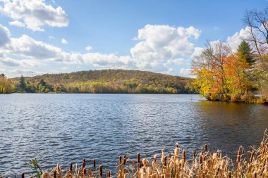 Güneşli bir sonbahar gününde dağlarda ağaçlık kıyıları olan küçük bir göl. Catskill Dağları, New York, ABD.