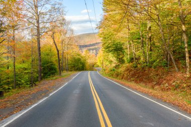 Güneşli bir günde, dolambaçlı bir dağ yolunda sersemletici sonbahar renkleri. Catskill Dağları, ABD.