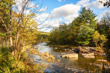 Nehir sonbaharda gün batımında bir dağ ormanında kıvrılarak ilerliyor. Catskill Dağları, New York, ABD.