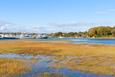 Açık bir sonbahar gününde, ormanla çevrili bir limanda yatlar. Gloucester, MA, ABD.