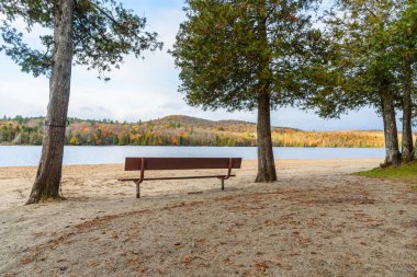 Sonbaharda ormanlık kıyıları olan bir dağ gölünün kumlu sahilinde boş ahşap bir bank. Adirondacks, New York, ABD.
