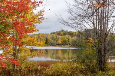 Bulutlu bir günde, sonbahar yapraklarının zirvesinde ağaçlık kıyıları olan bir dağ gölü manzarası. Adirondacks, New York, ABD.